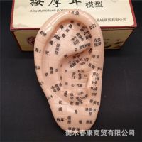 河北電熱護(hù)膝、護(hù)腰、護(hù)肩帶品牌大全與選購指南
